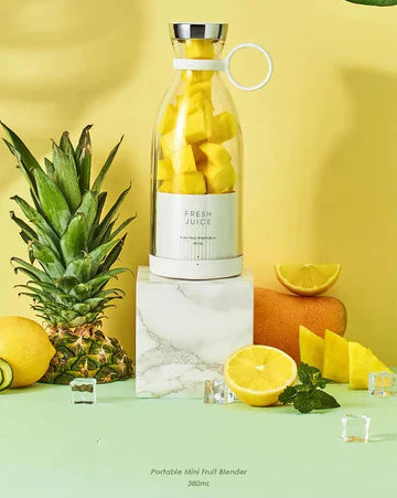 Handheld Fruits Blender