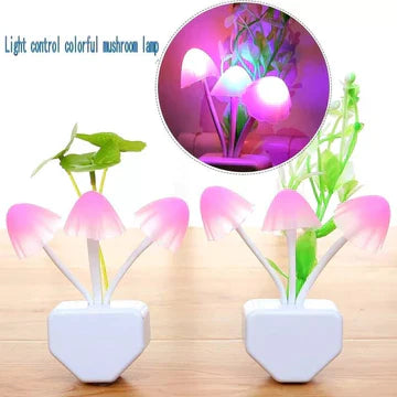 Led Night Light